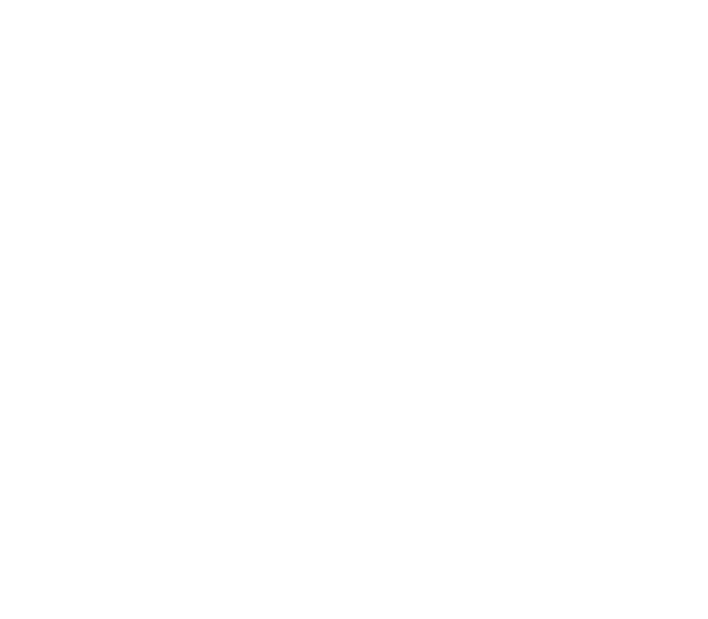 Full White Logo